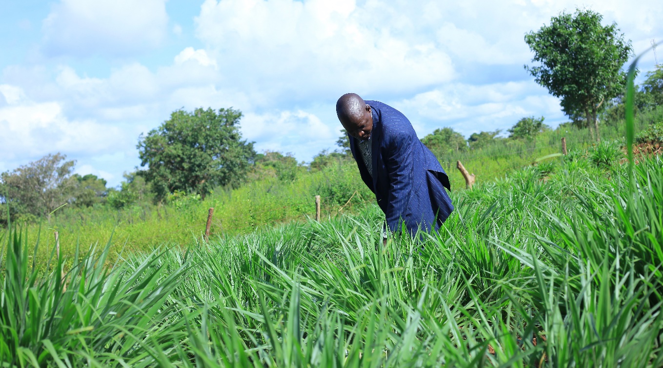 Robert from Chain Uganda