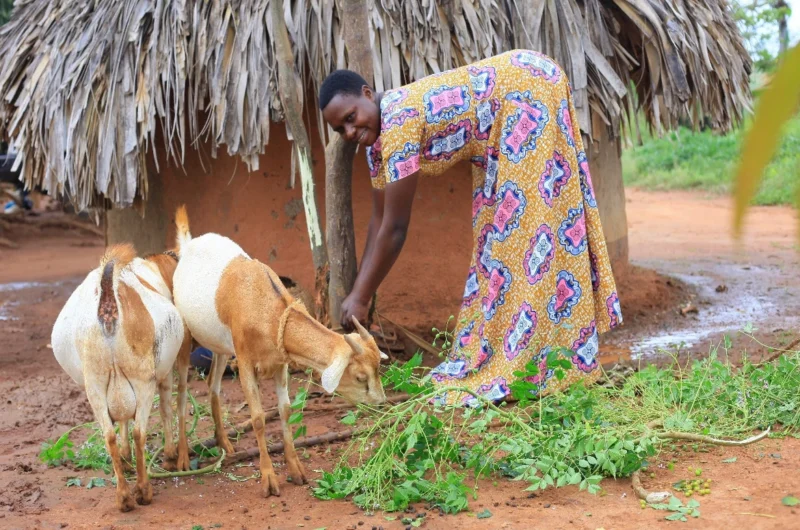 How Smallholder Farmers are Transforming Their Livelihoods through the INCLUDE Project in Buyende
